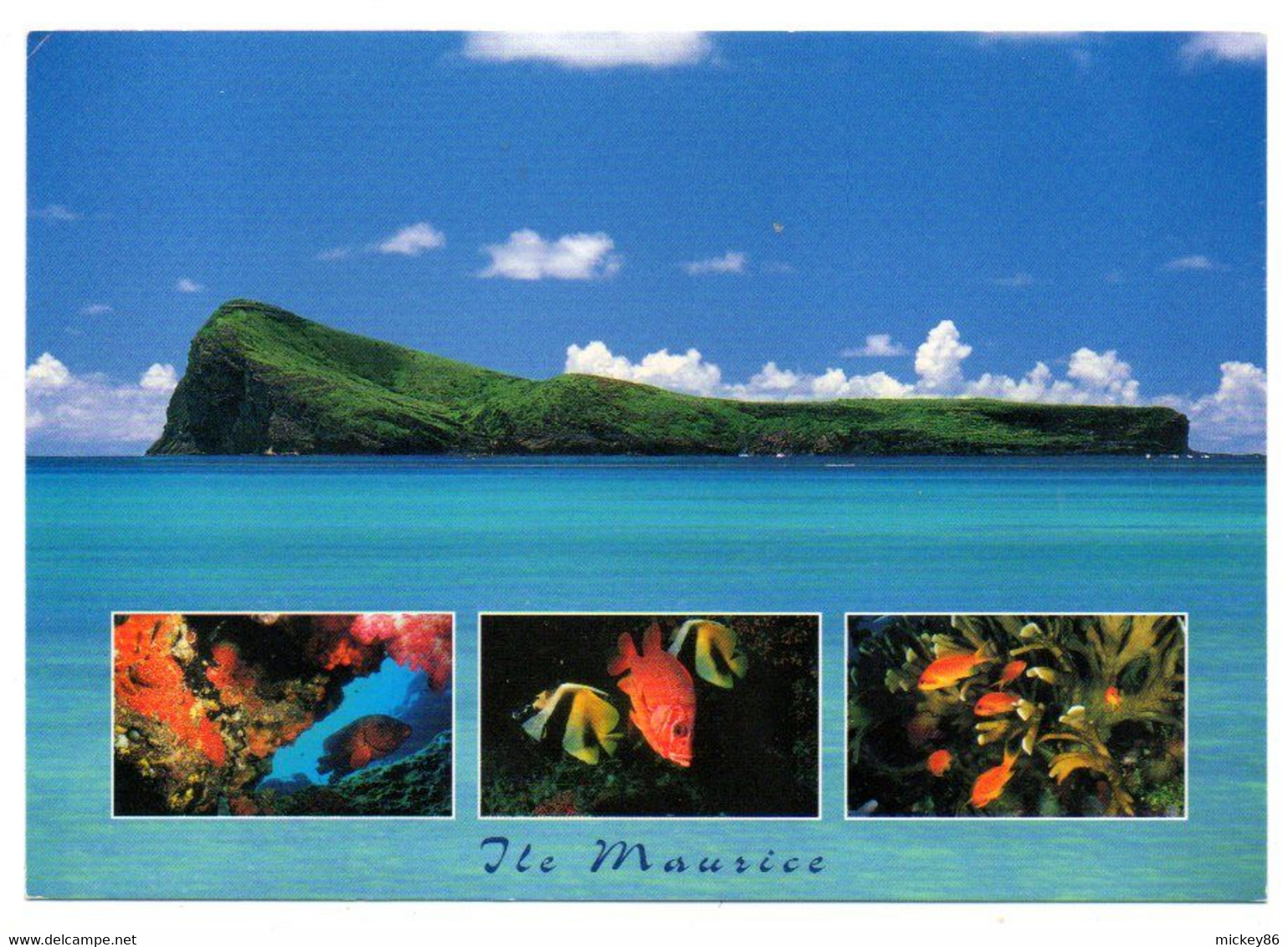 Ile MAURICE --- Multivues -- Le Coin De Mire .............timbre Au Verso - Mauricio