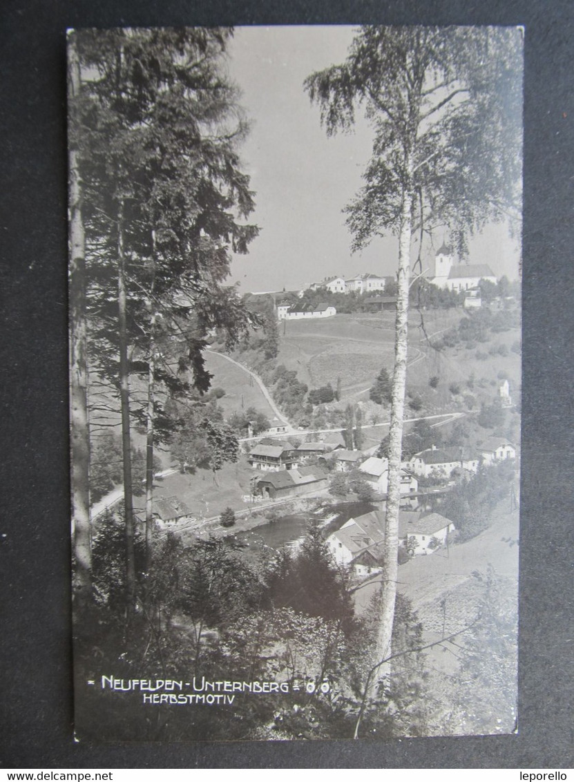 AK NEUFELDEN Unternberg B. Rohrbach Ca.1920  /////   D*48839 - Rohrbach