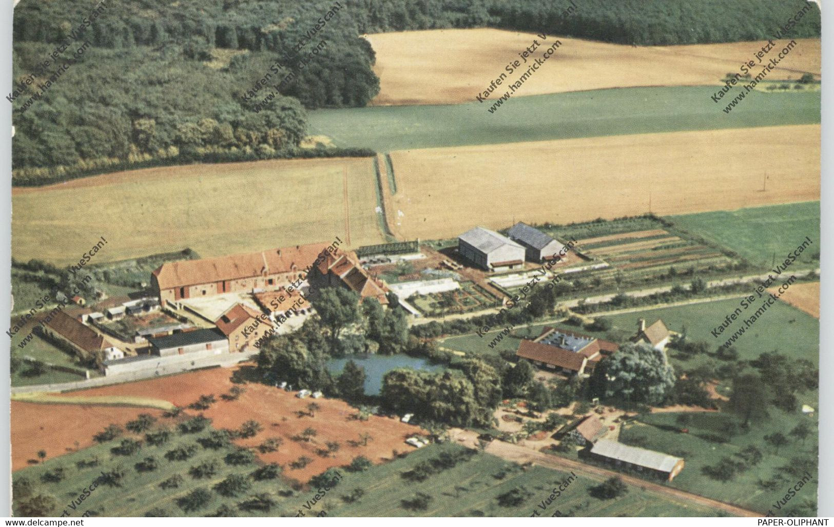 6072 DREIEICH, Hofgut Neuhof, Luftaufnahme 1959 - Dreieich