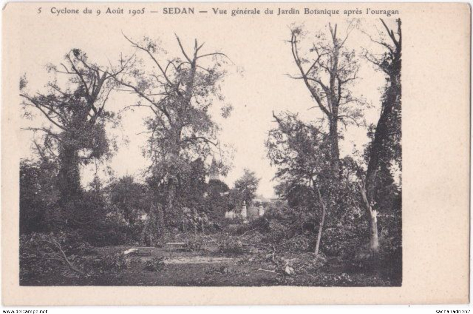 08. SEDAN. Cyclone Du 9 Août 1905. Vue Générale Du Jardin Botanique Après L'ouragan. 5 - Sedan