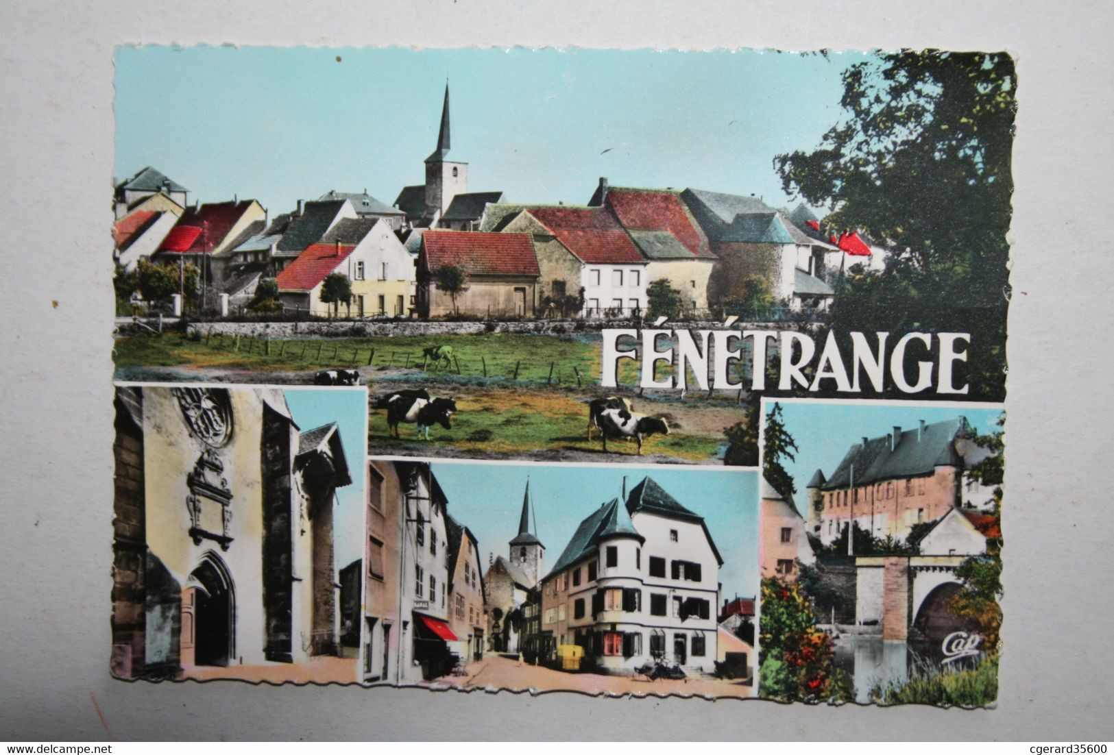 57 : Fénétrange -  ( Multivues ) Vue Générale - Entrée De L'Eglise  - Le Vieux Château Et La Sarre - Fénétrange