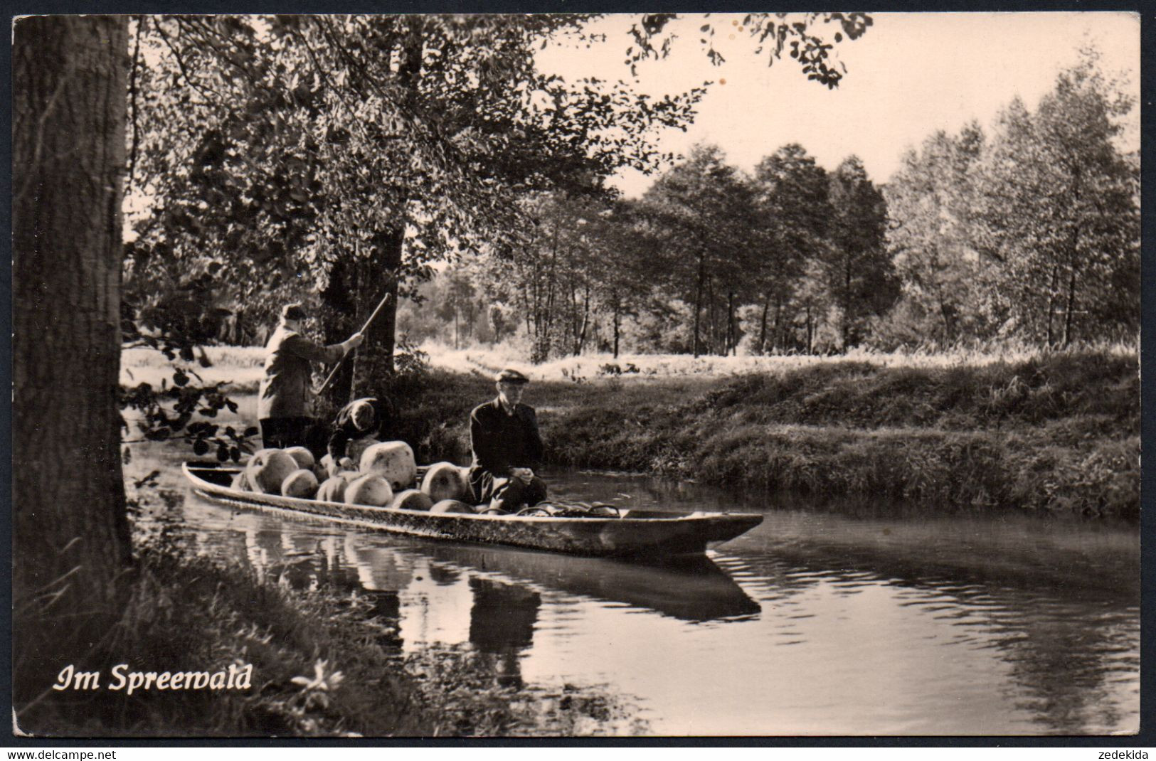 E8997 - Spreewald Blotach - Sander - Lübben (Spreewald)