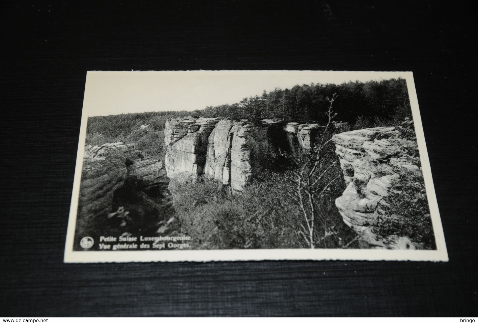 27922-                  LUXEMBOURG, BERDORF, PETITE SUISSE LUXEMBOURGEOISE, VUE GENERALE DES SEPT GORGES - Berdorf