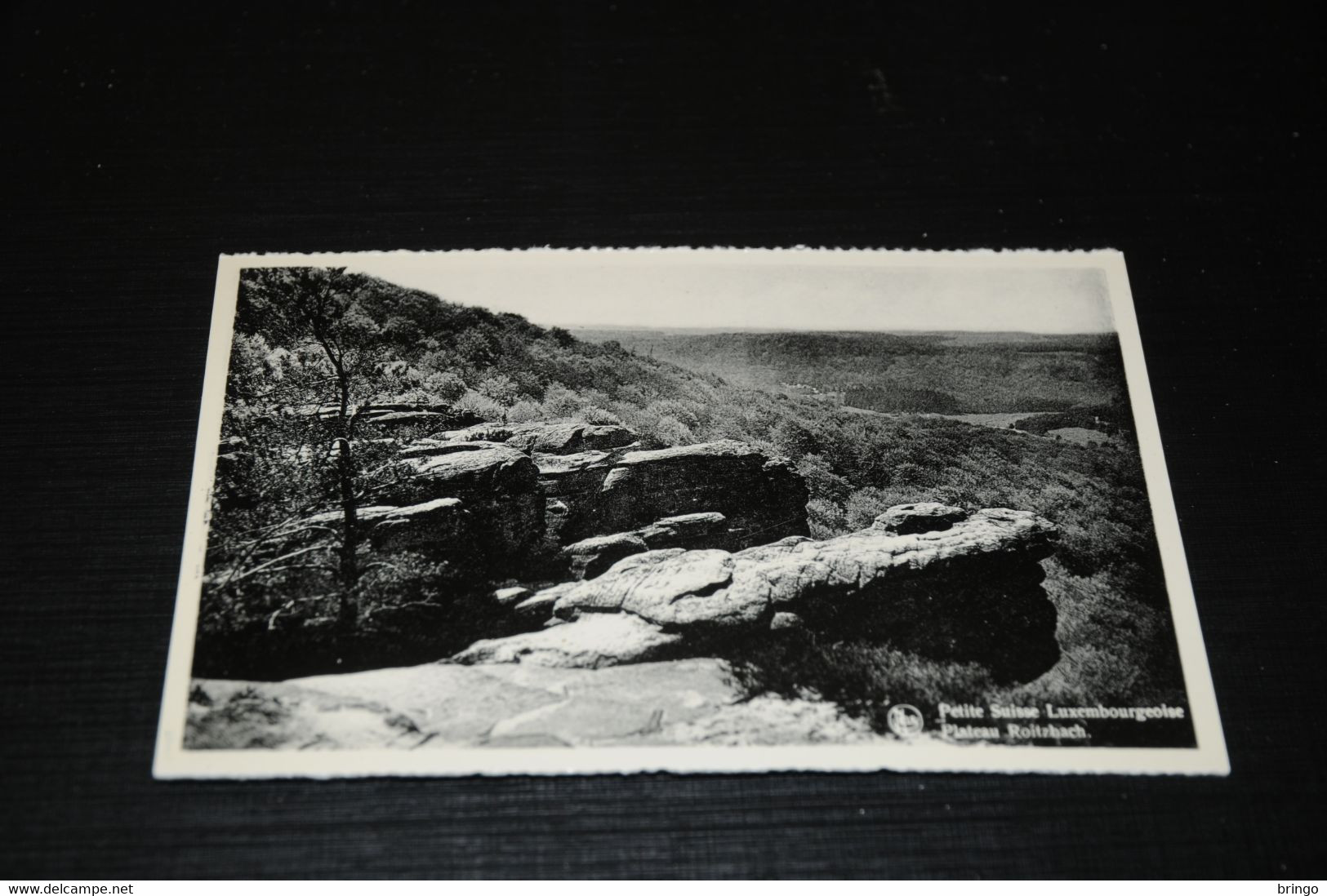 27923-                  LUXEMBOURG, BERDORF, PETITE SUISSE LUXEMBOURGEOISE, PLATEAU ROITZBACH - Berdorf