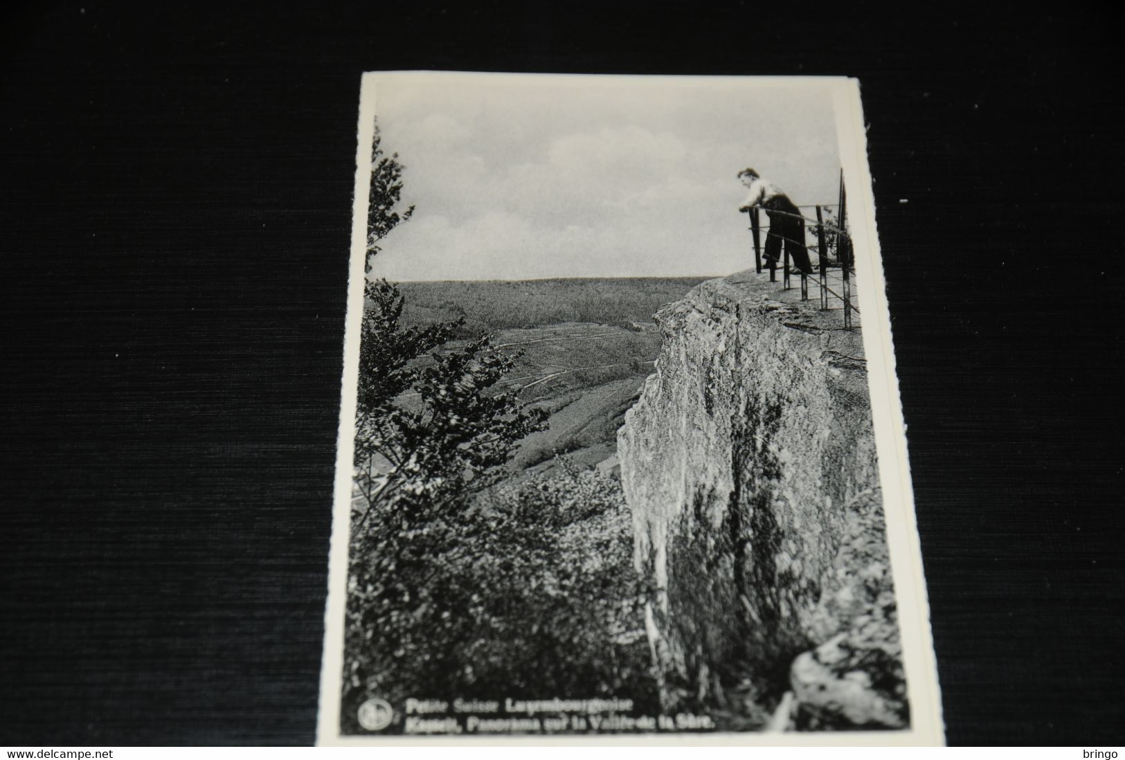 27931-     LUXEMBOURG, BERDORF, PETITE SUISSE LUXEMBOURGEOISE, KASSELT, PANORAMA SUR LA VALLEE DE LA SÛRE - Berdorf