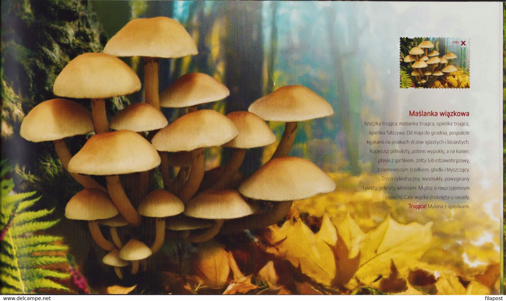 POLAND 2012 Booklet / Edible And Poisonous Mushrooms In Polish Forests / Full Sheet MNH** - Markenheftchen