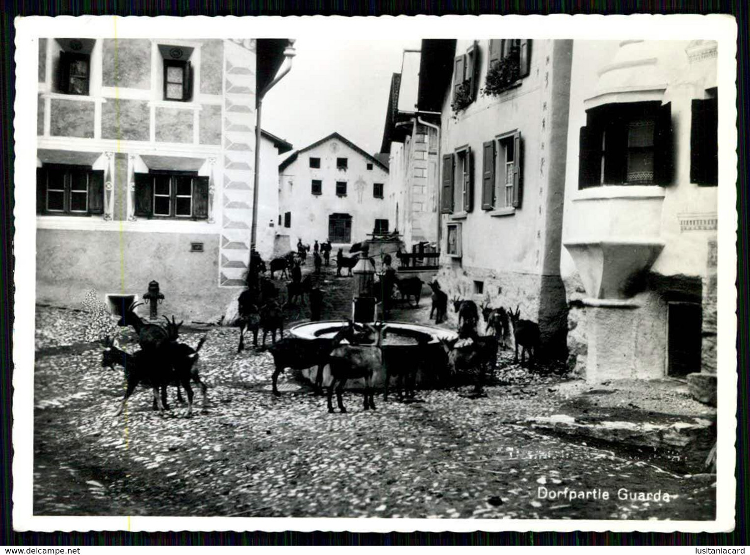 DORFPARTIE GUARDA -  (Ed.  Foto R. Grass)  Carte Postale - Guarda