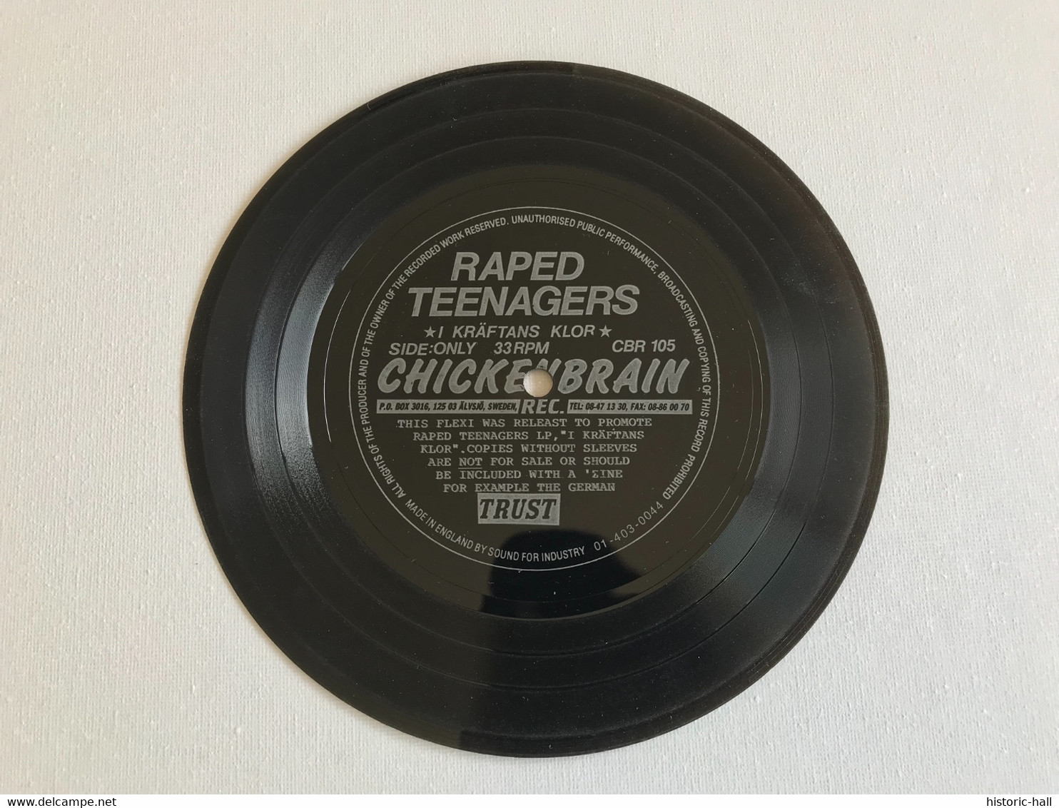 RAPED TEENAGERS - I Kraftans Klor - 45t FLEXI PROMO - Punk