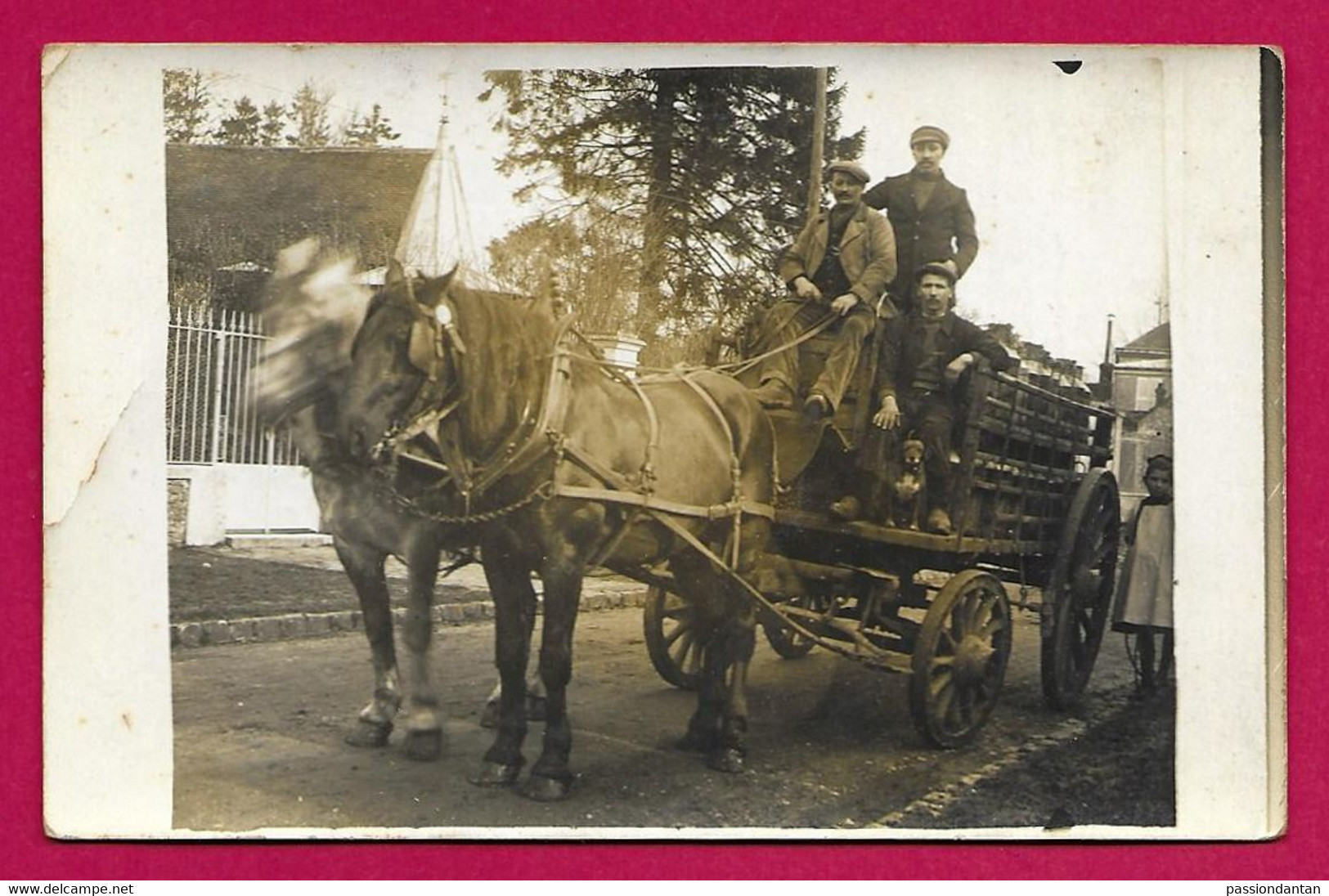 Carte Photo Agriculture - Livraison De Lait à L'aide D'un Véhicule Hippomobile - Fattorie