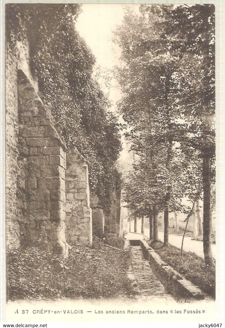 60 - Crépy-en-Valois (oise) -   Les Anciens Remparts Dans "les Fossés" - Crepy En Valois