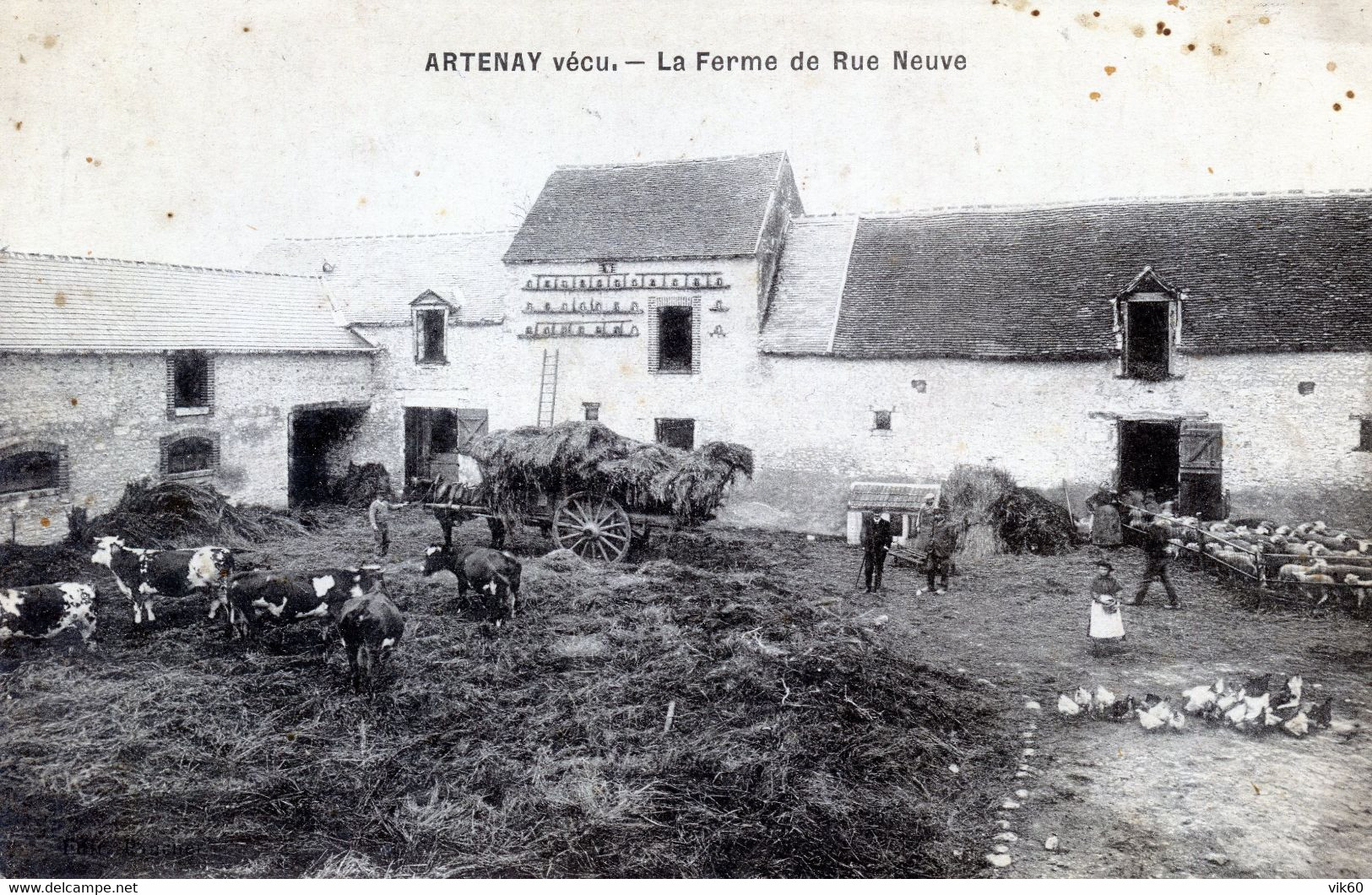 45  ARTENAY  LA FERME DE RUE NEUVE - Artenay
