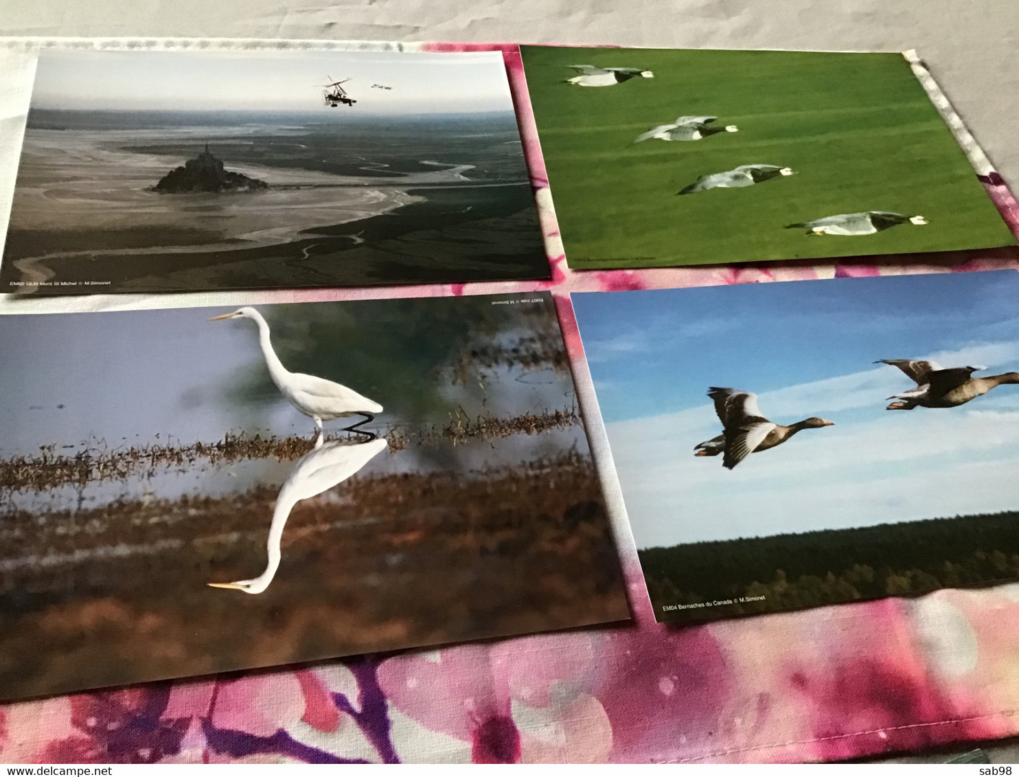 Ornithologie oiseaux 2 DVD et 10 Photos Coffret collector et numéroté Les ailes de la nature