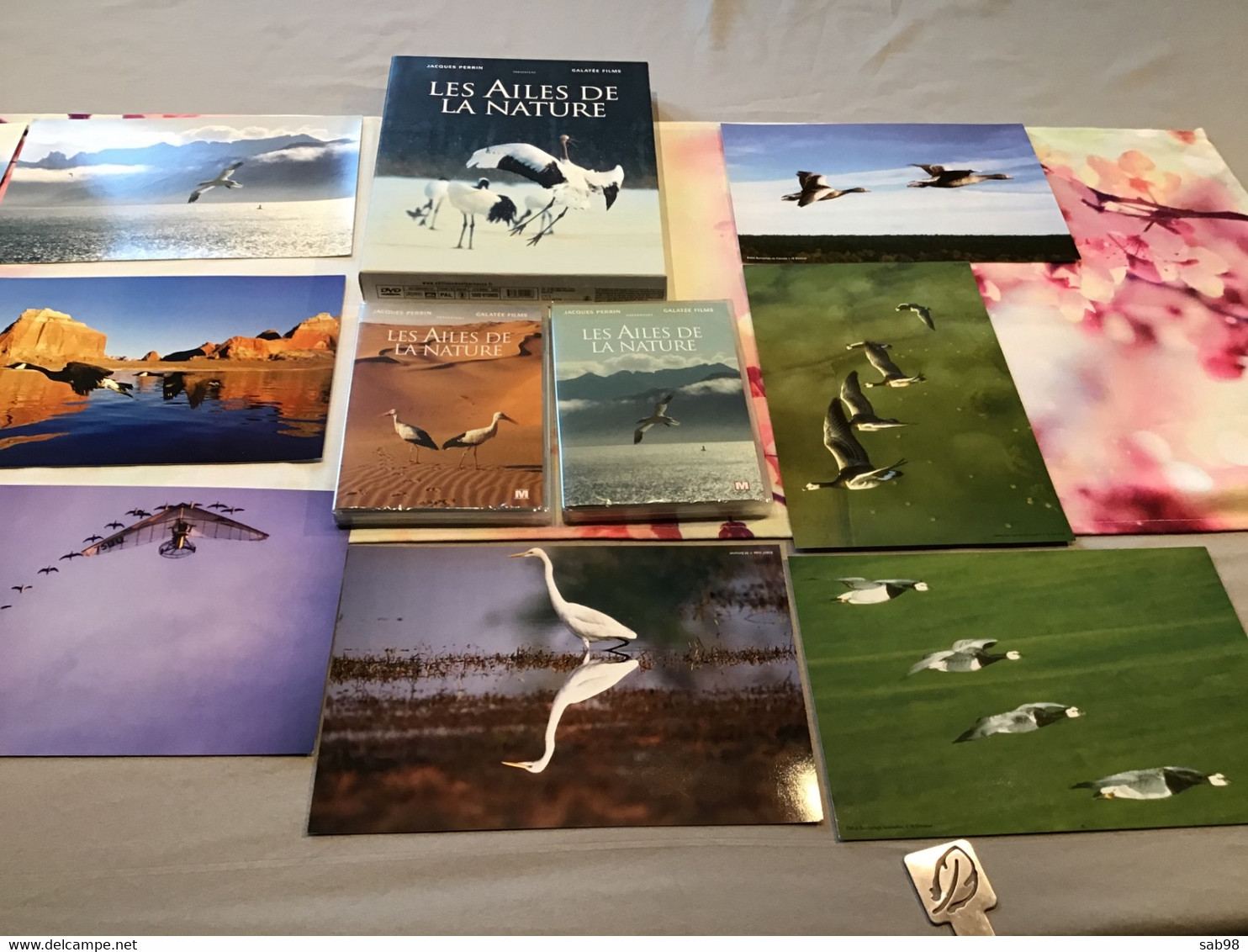 Ornithologie oiseaux 2 DVD et 10 Photos Coffret collector et numéroté Les ailes de la nature