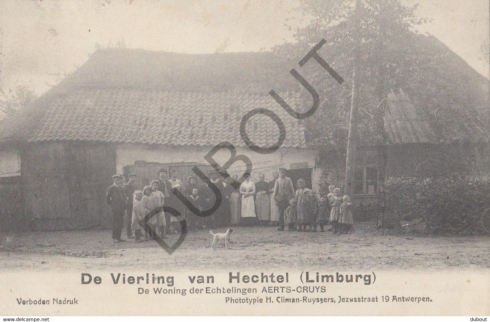 HECHTEL - De Vierling Van Hechtel - Aerts-Cruys  (C562) - Hechtel-Eksel