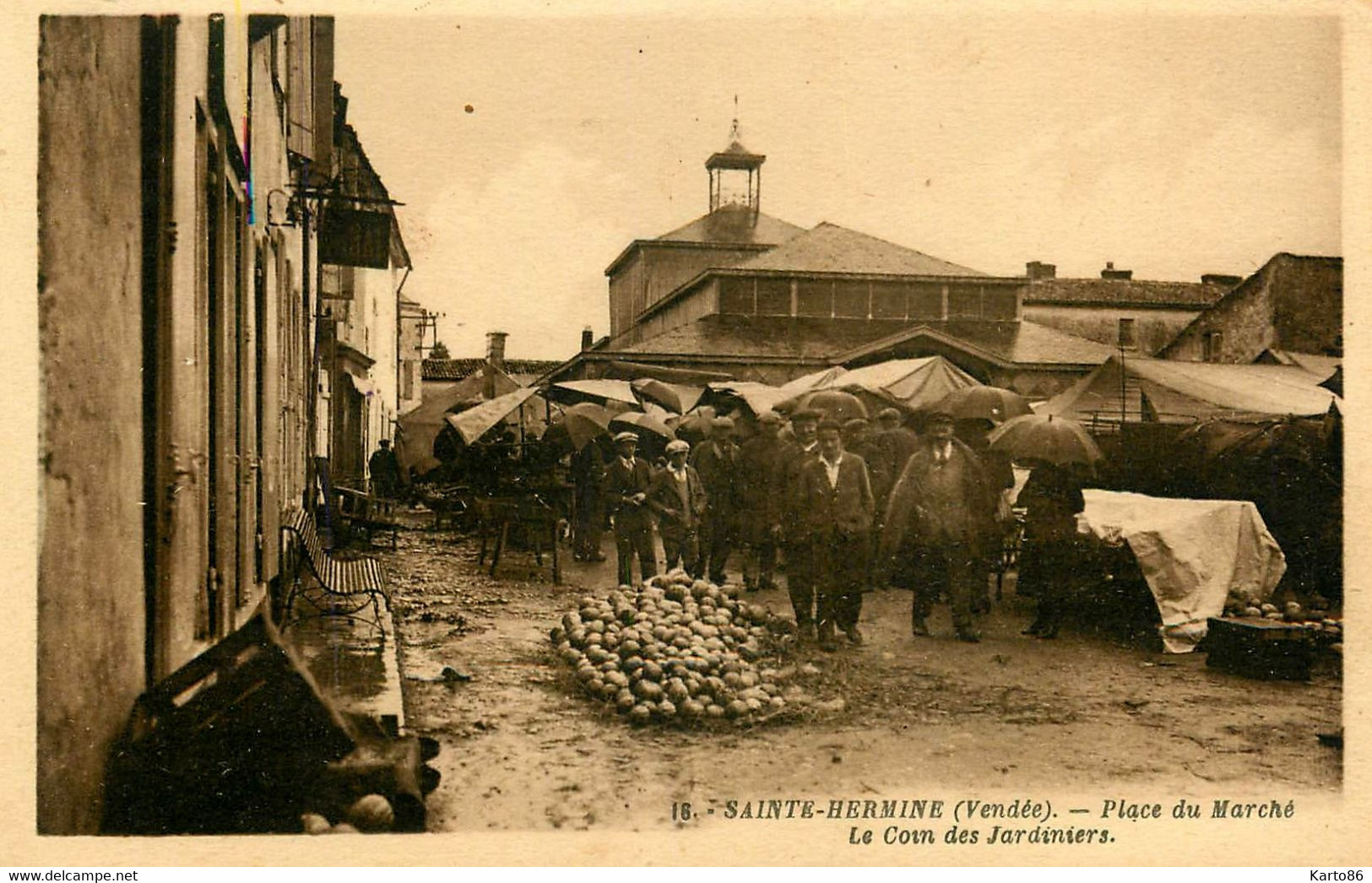Ste Hermine * Place Du Marché , Le Coin Des Jardiniers * Marchands De Légumes - Sainte Hermine