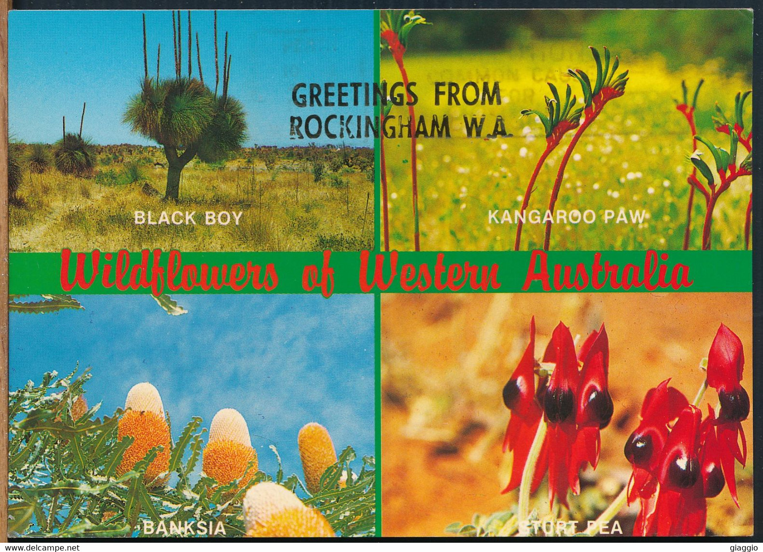 °°° 24981 - WESTERN AUSTRALIA - GREETINGS FROM ROCKINGHAM , WILDFLOWERS - With Stamps °°° - Autres & Non Classés