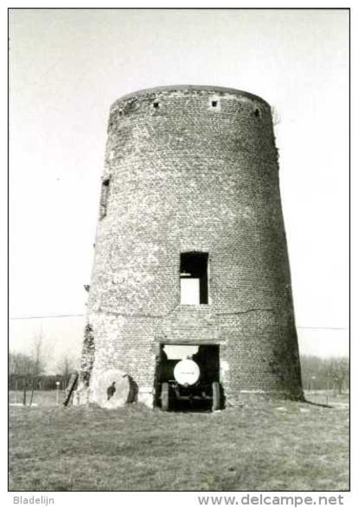 HAALTERT (O.Vl.) - Molen/moulin - Historische Opname (1982) Van De Verdwenen Molenromp Van De Topmolen. Fraaie Postkaart - Haaltert