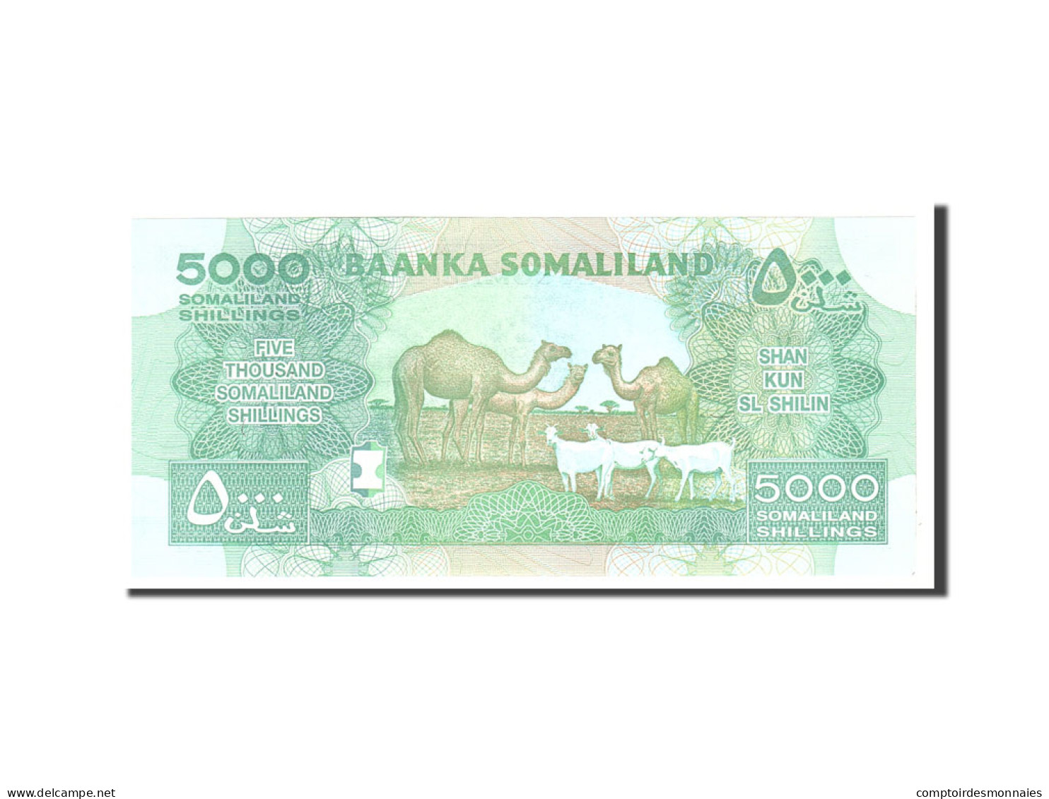 Billet, Somaliland, 5000 Shillings, 2011, Undated, KM:21, NEUF - Somalia