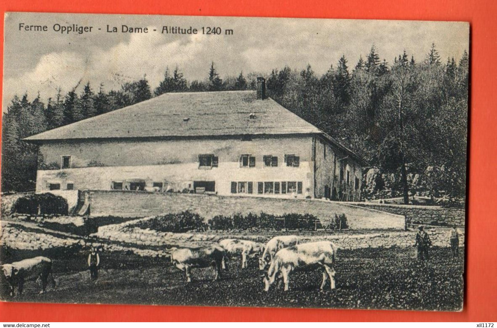 ZLF-05 RARE VAL-DE-RUZ Ferme Oppliger, Alpage De La Dame à Villiers.Troupeau De Vaches, ANIME.Tampon. Clémesin 1920. - Villiers