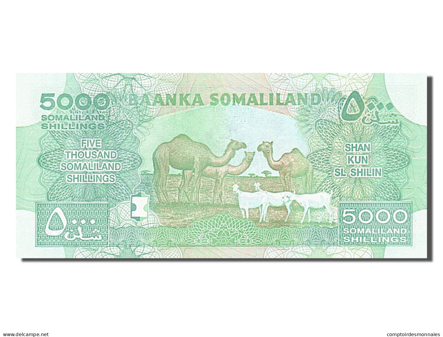 Billet, Somaliland, 5000 Shillings, 2011, Undated, KM:21, NEUF - Somalia