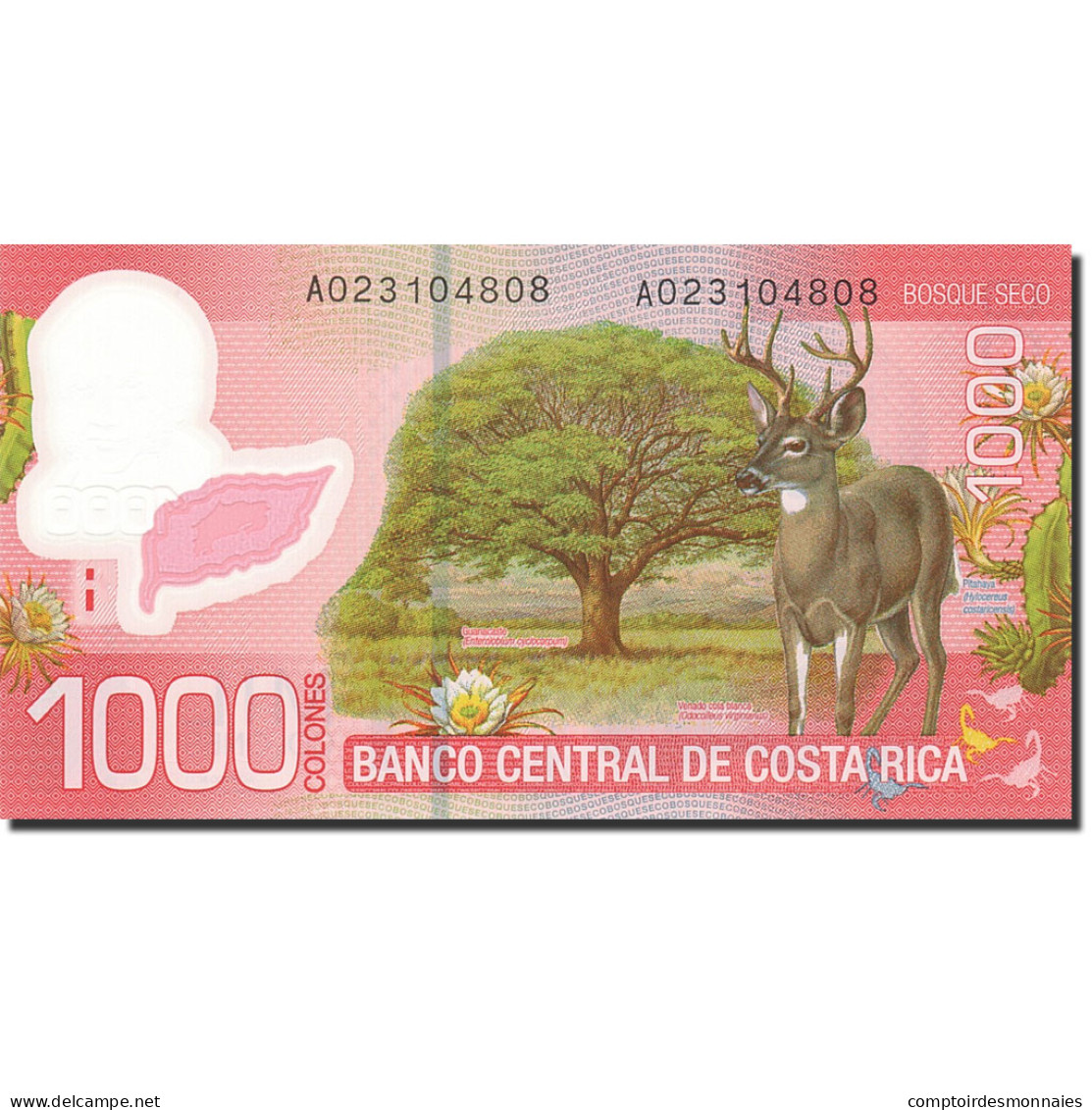 Billet, Costa Rica, 1000 Colones, 2010, 2009-09-02, KM:274, NEUF - Costa Rica