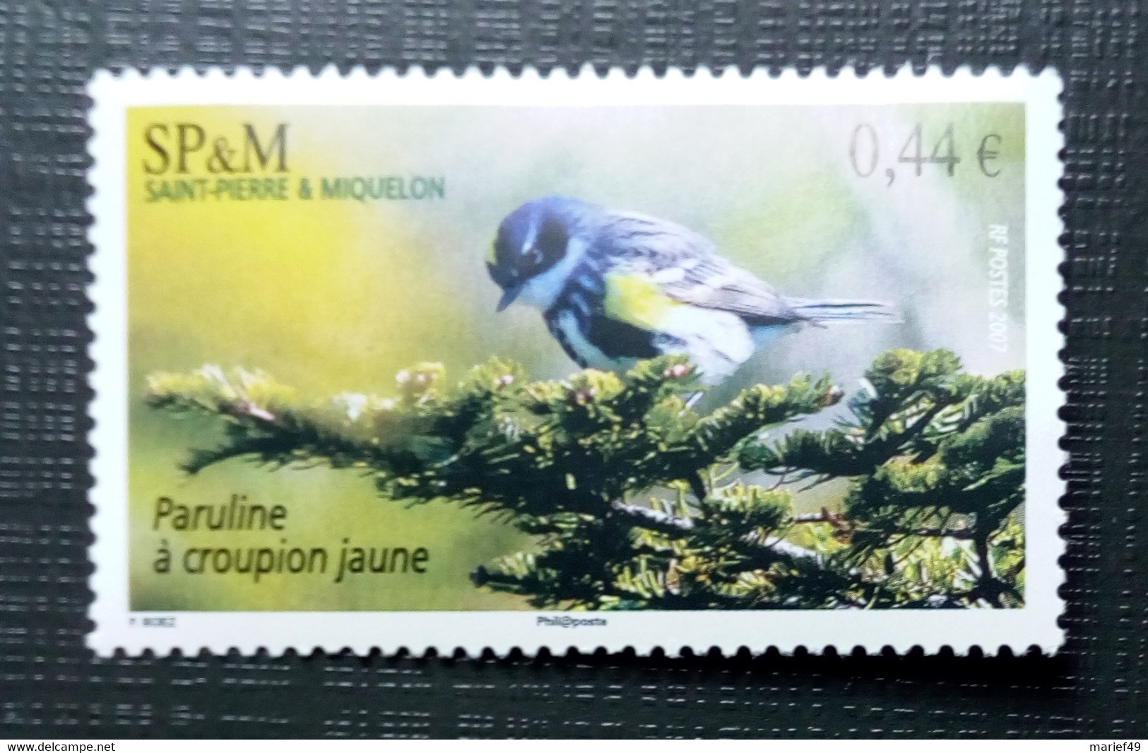 SAINT PIERRE ET MIQUELON 2007, OISEAUX, LA PARULINE A CROUPION JAUNE, NEUF - Andere & Zonder Classificatie