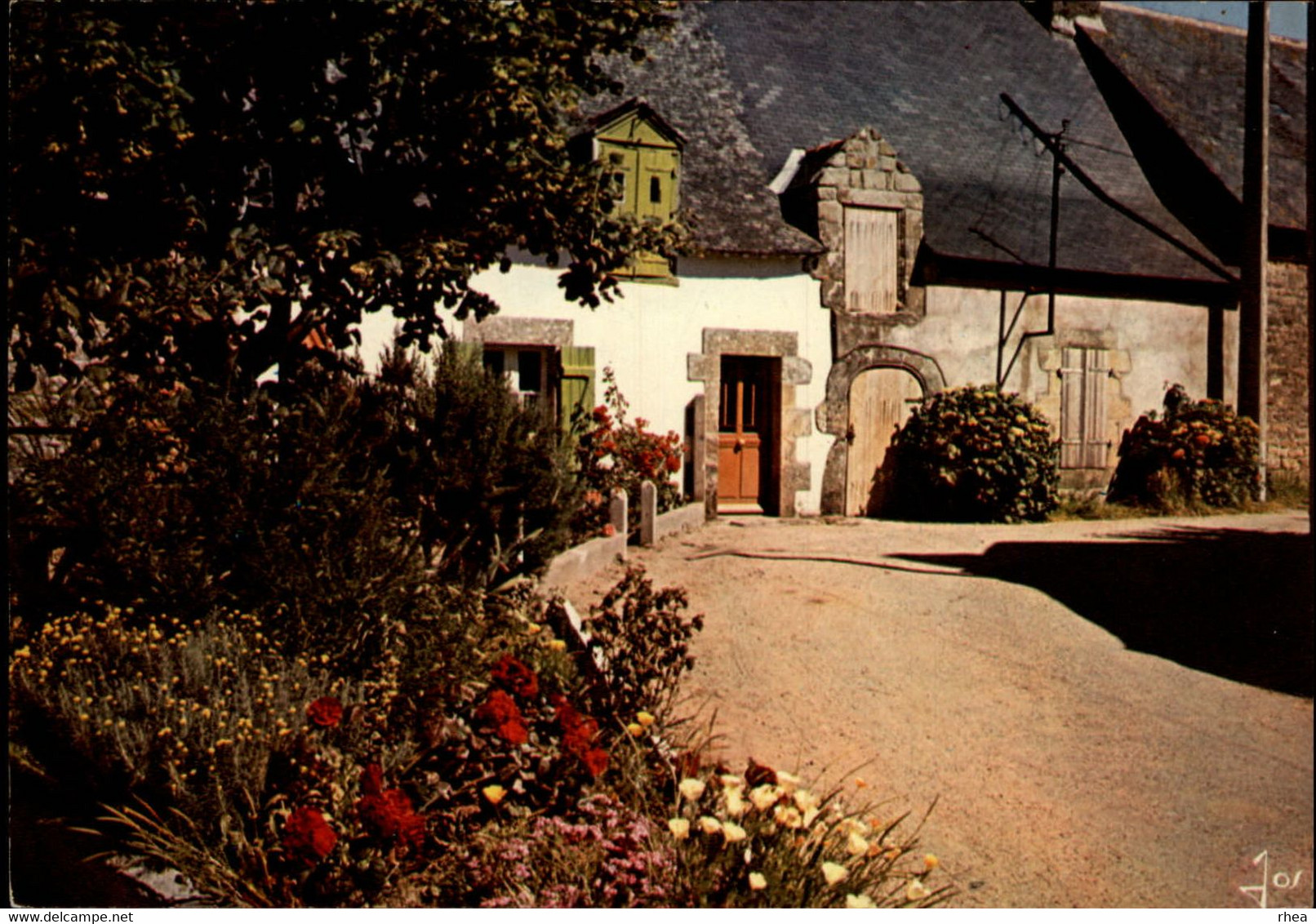 56 - ILE D'ARZ - Maison Typique - Ile D'Arz