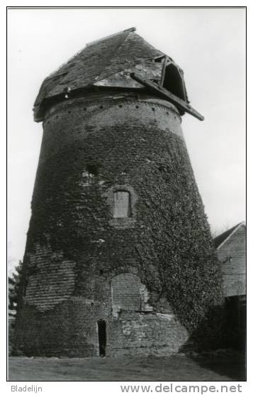 ZELE (O.Vl.) - Molen/moulin - Mooie Prentkaart V.d. Verdwenen Romp Van Oliemolen Rosseel. Historische Opname Uit 1981. - Zele