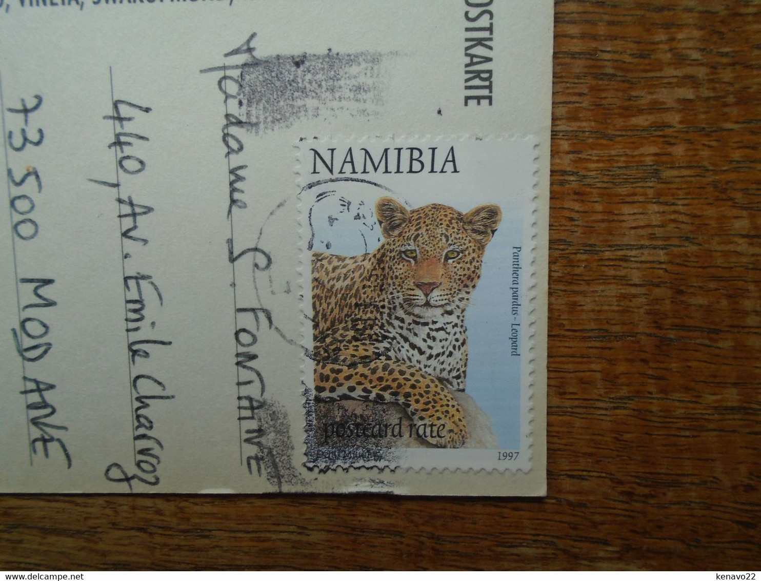 Namibia , Multi-vues "" Beau Timbre Leopard "" - Namibia