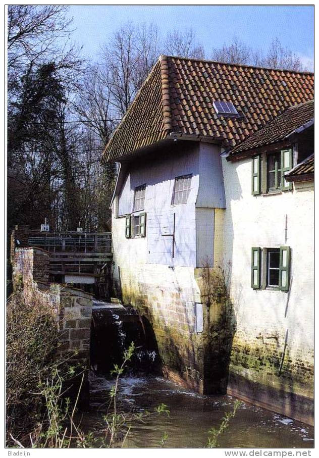 ERPE Bij Erpe-Mere (O.Vl.) - Molen/moulin/mill - De Cottemmolen Na De Restauratie Van 1996. Fraaie Opname. - Erpe-Mere