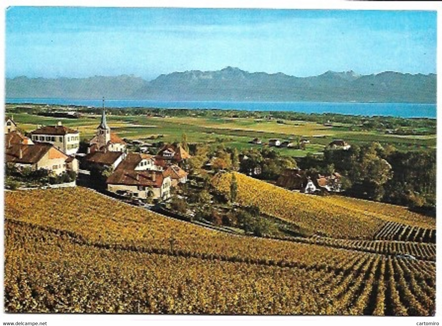 Suisse - Vaud - Féchy - Carte Double - Féchy