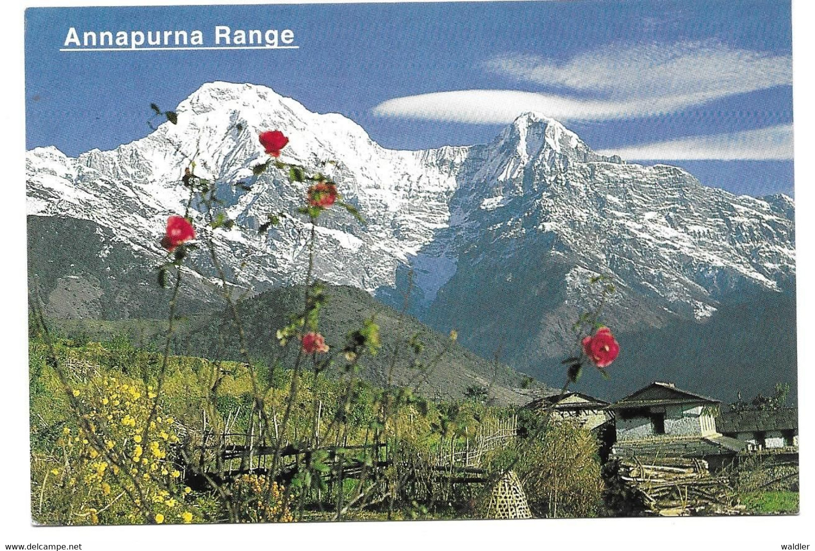 NEPAL  -  ANNAPURNA, VIEW FROM GHANDRUNG - Népal