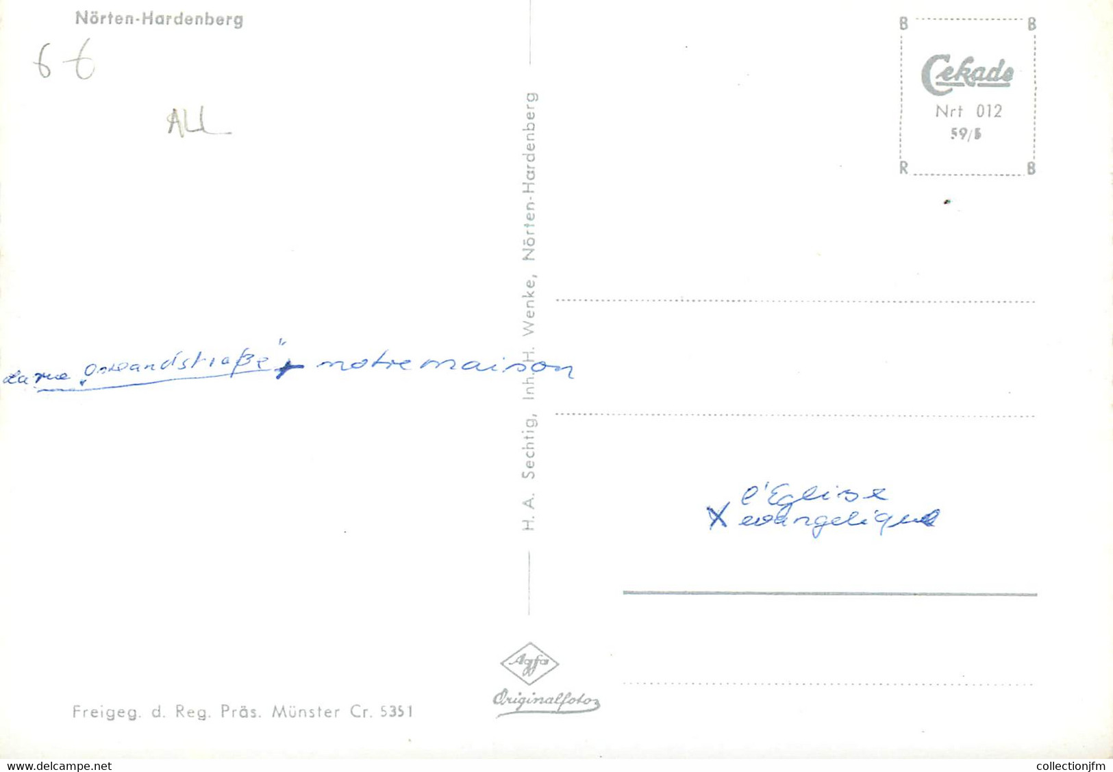 CPSM ALLEMAGNE "Nörten Hardenberg" - Nörten-Hardenberg