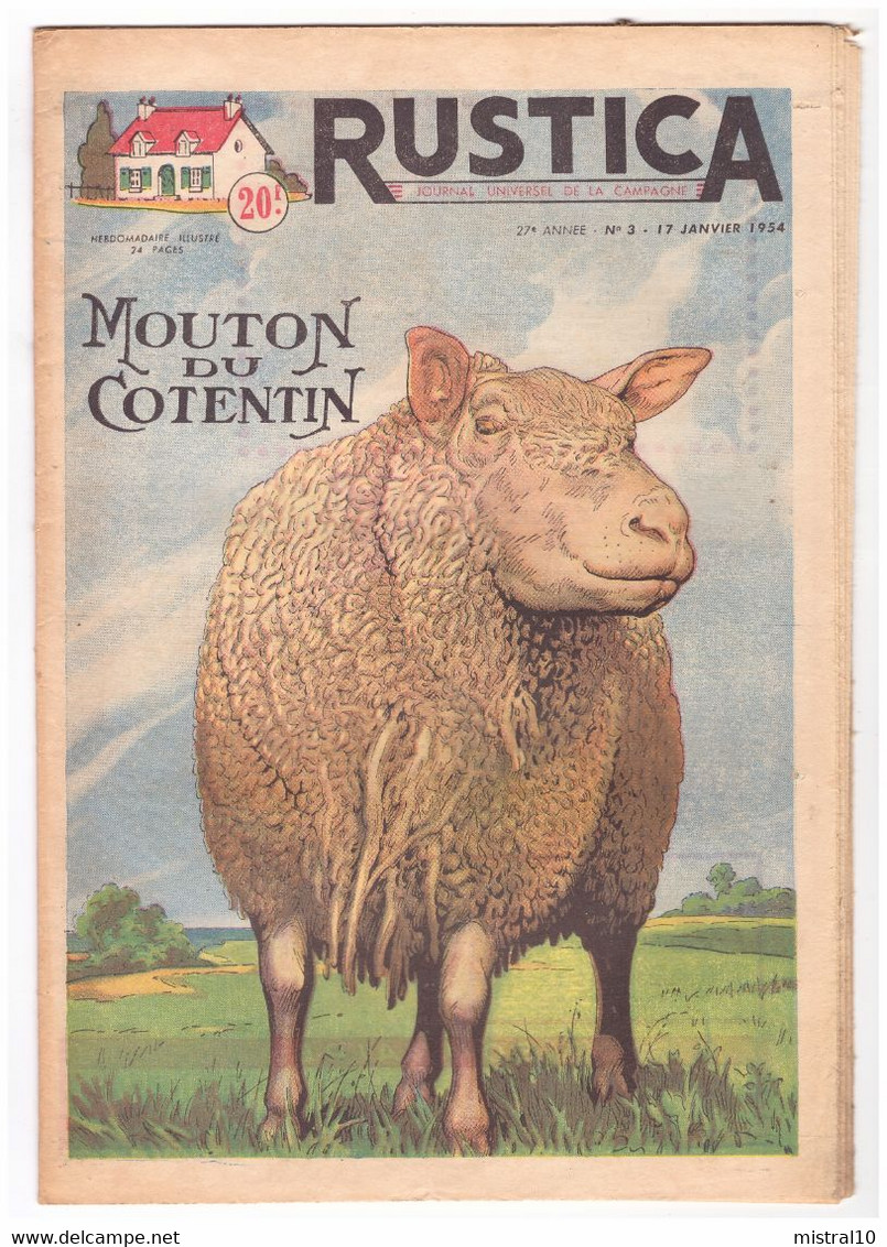 RUSTICA. 1954. N°3. Mouton Du Cotentin - Jardinería