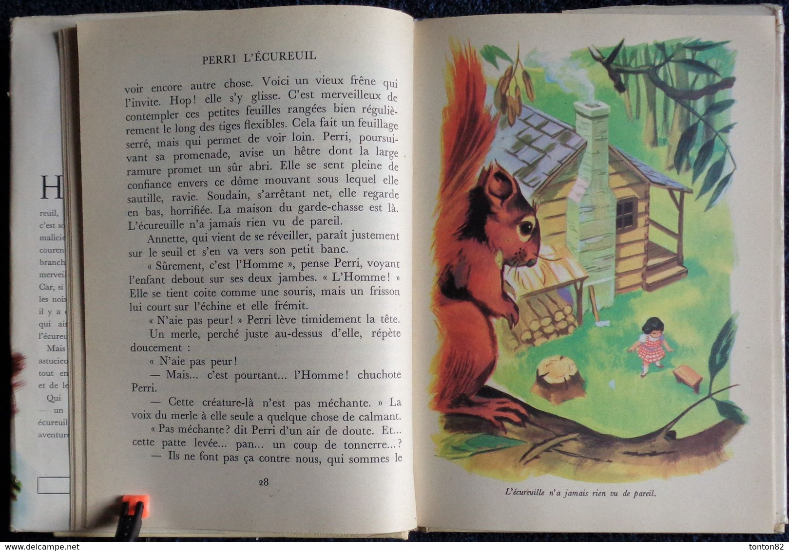 Félix Salten - Walt Disney - Perri L'écureuil - Idéal Bibliothèque - N° 158 - ( 1958 ) . - Ideal Bibliotheque