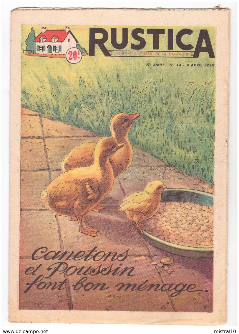 RUSTICA. 1954. N°14. Canetons Et Poussin Font Bon Ménage - Garden