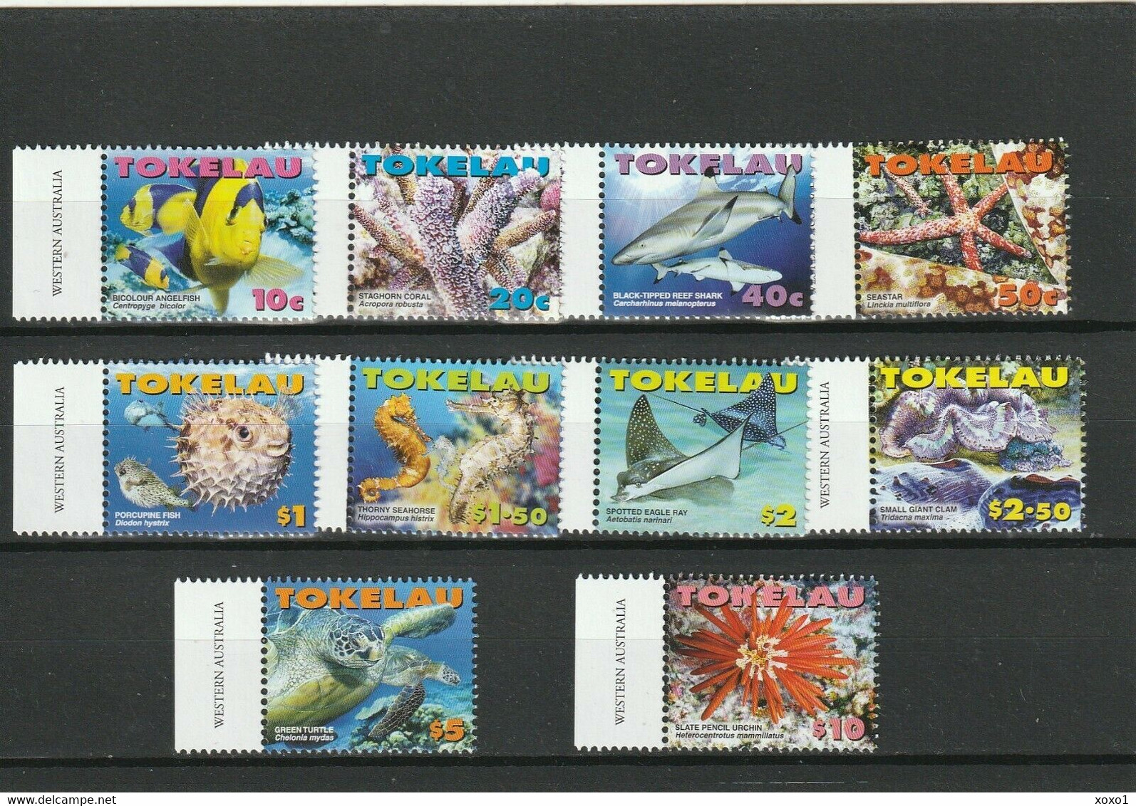 TOKELAU 2007 MiNr. 372 - 381 Marine Life Fishes Turtles 10v MNH** 28,00 € - Peces