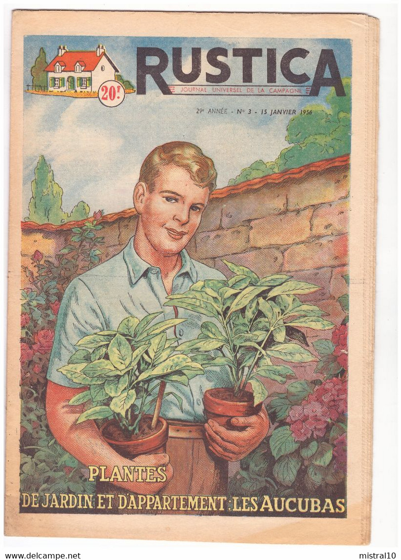 RUSTICA. 1956. N°3. Plantes De Jardin Et D'appartement. Les Aucubas - Garten