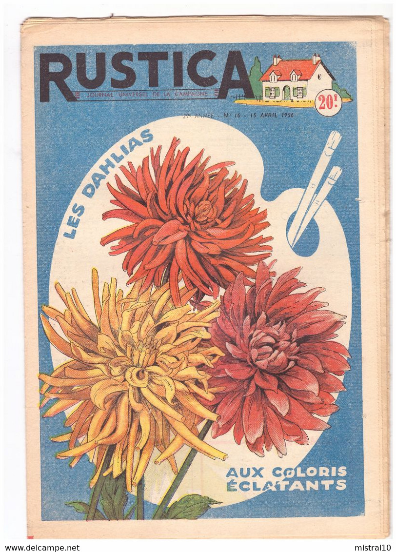 RUSTICA. 1956. N°16. Les Dahlias Aux Coloris éclatants - Jardinería