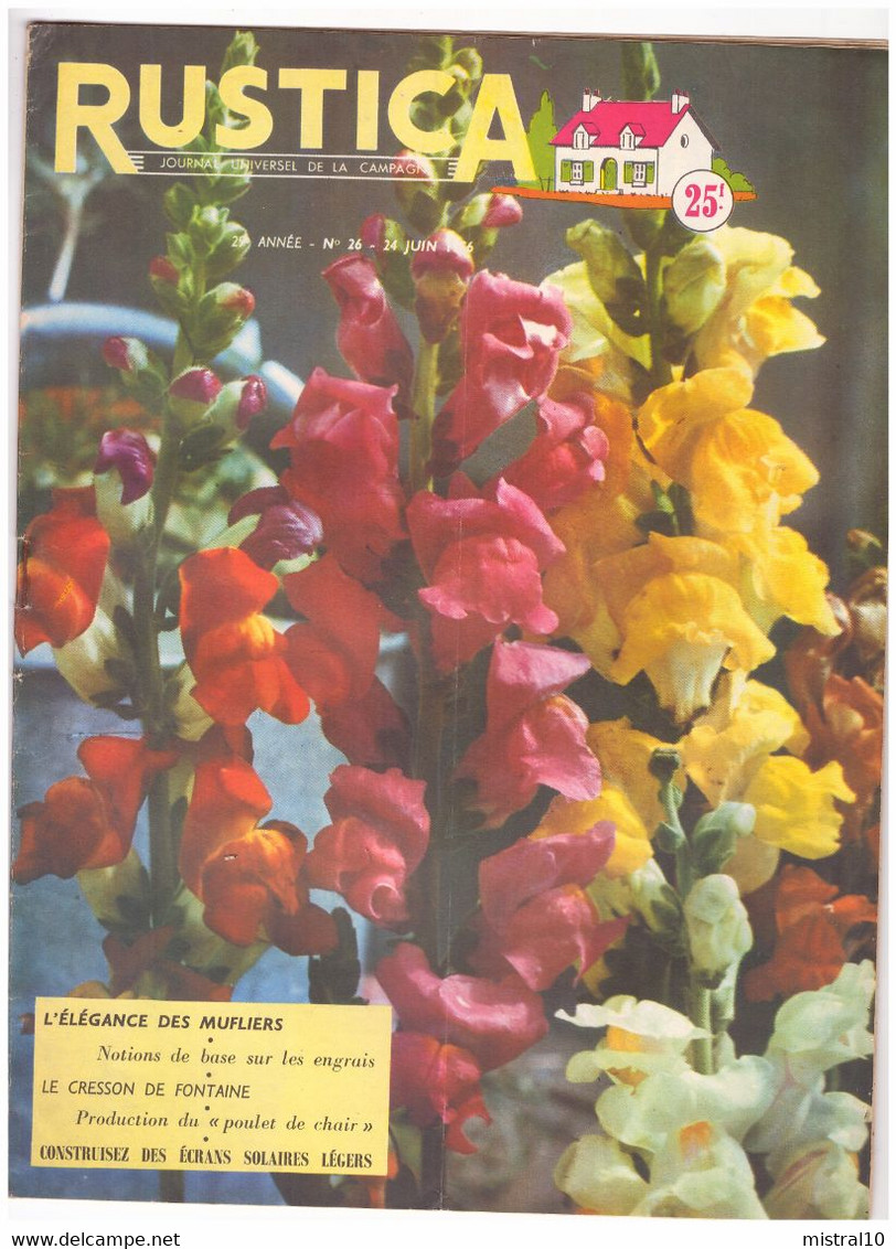 RUSTICA. 1956. N°26. L'élégance Des Mufliers - Garden