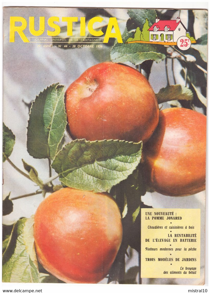 RUSTICA. 1956. N°44. Une Nouveauté. La Pomme Jonared - Tuinieren