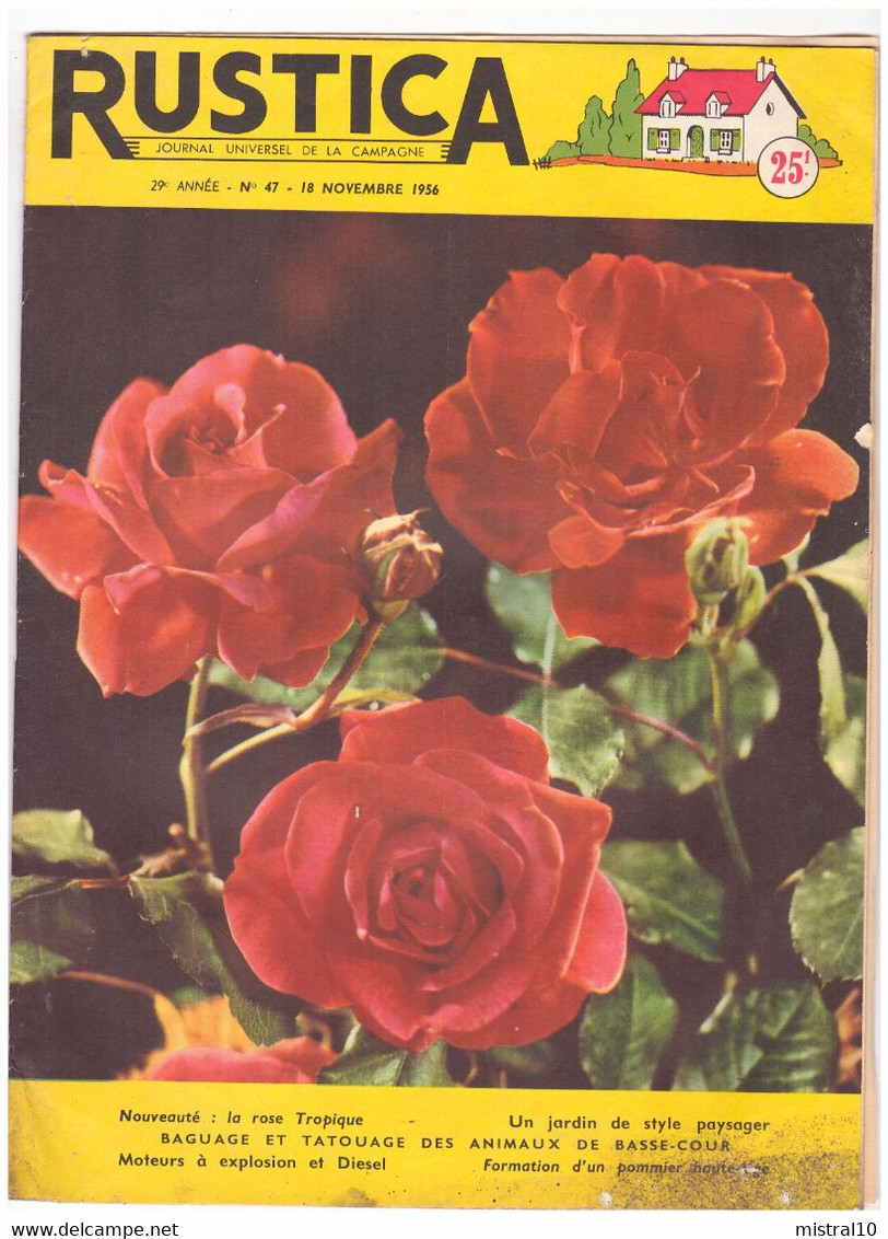 RUSTICA. 1956. N°47. La Rose Tropique - Tuinieren