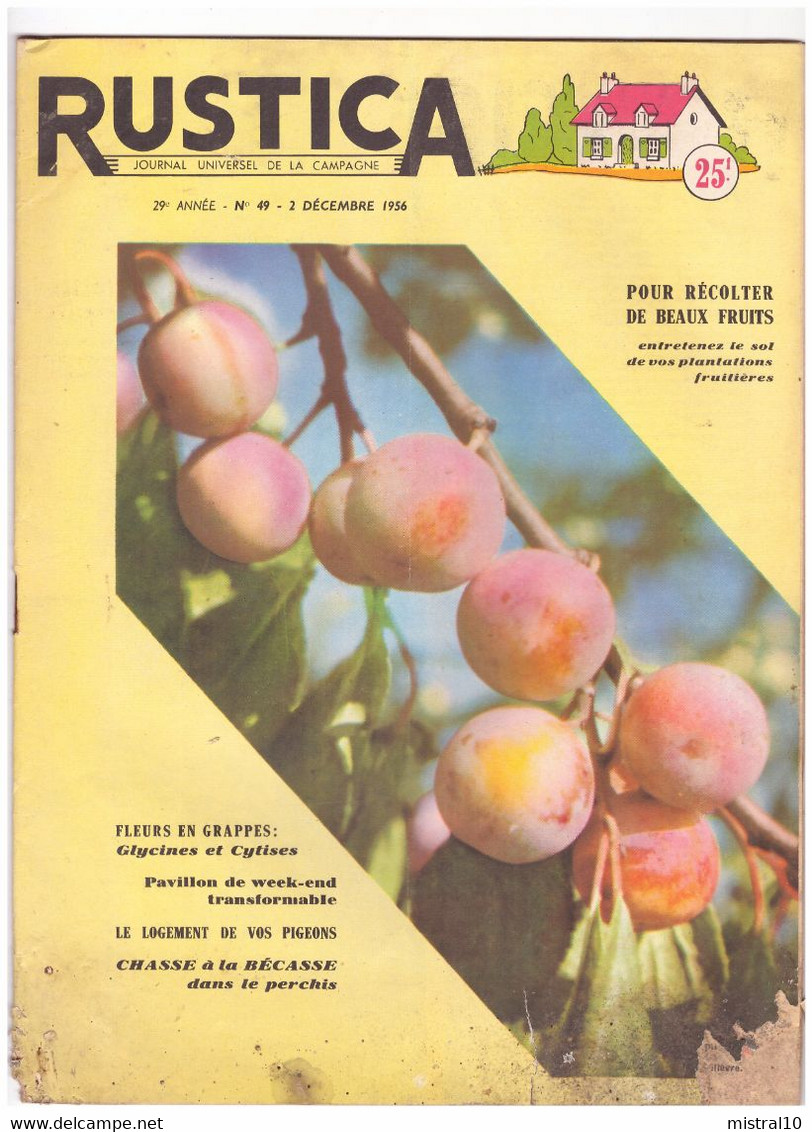 RUSTICA. 1956. N°49. Pour Récolter De Beaux Fruits - Garten