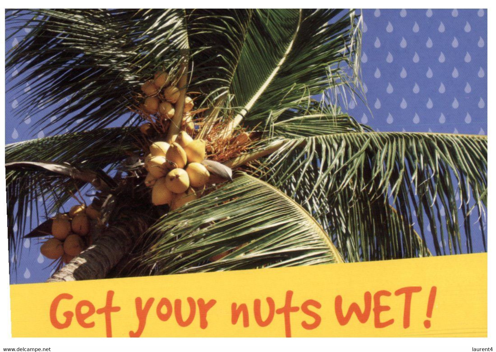 (KK 19) Get Your Nuts Wet (Avanti Card) For Wet Darwin - Darwin