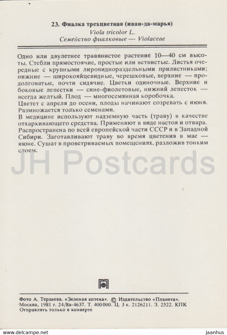 Wild Pansy - Viola Tricolor - Medicinal Plants - 1981 - Russia USSR - Unused - Plantes Médicinales