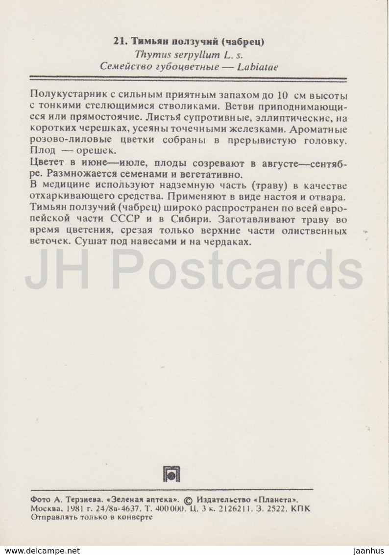 Breckland Thyme - Breckland Thyme - Medicinal Plants - 1981 - Russia USSR - Unused - Plantes Médicinales