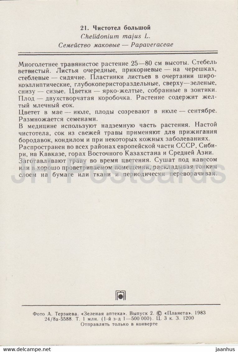 Greater Celandine - Chelidonium Majus - Medicinal Plants - 1983 - Russia USSR - Unused - Medicinal Plants