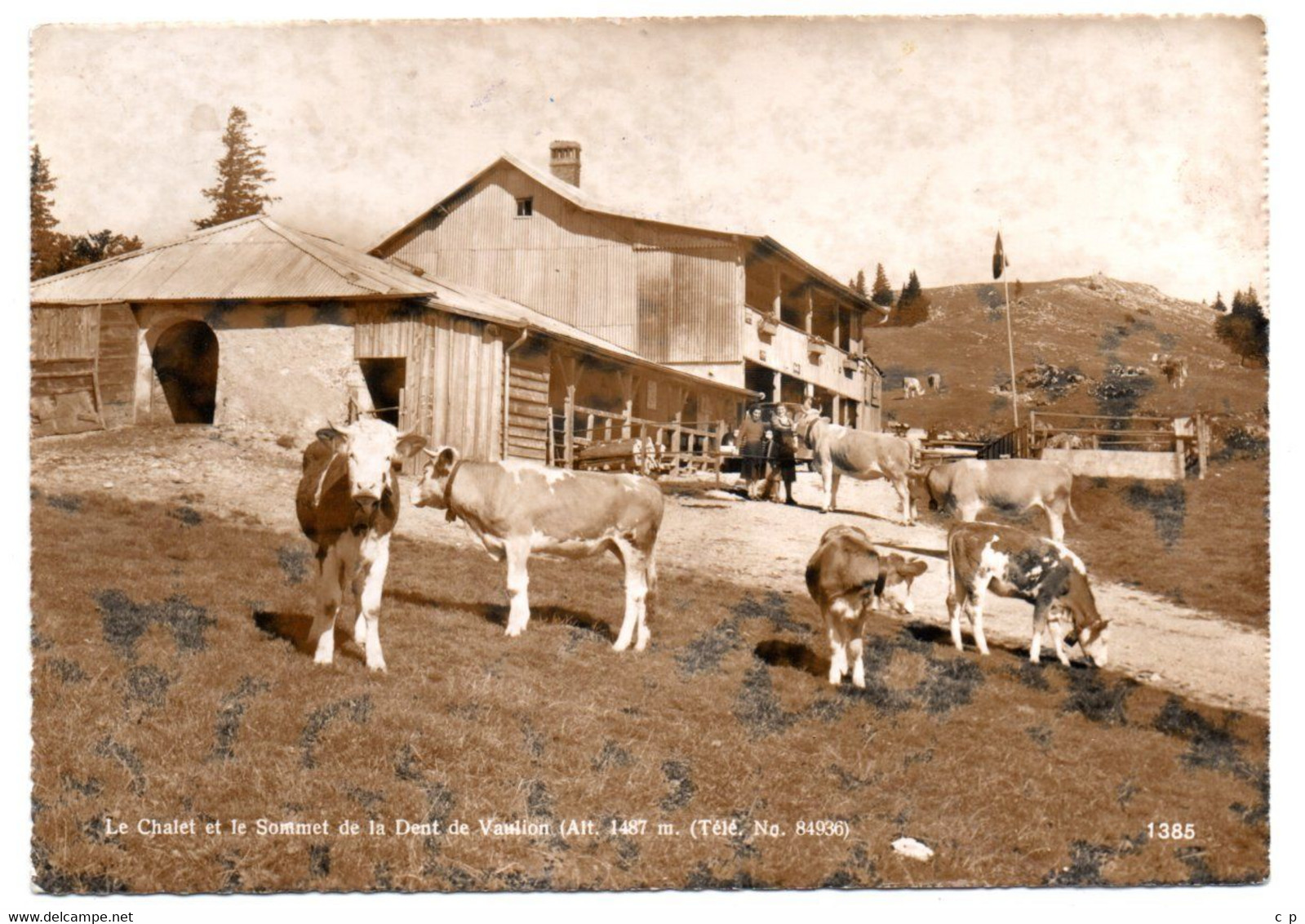 Dent De Vaulion - Chalet  -  Restaurant - Cachet Verso - Bovins -   CPSM° - Vaulion