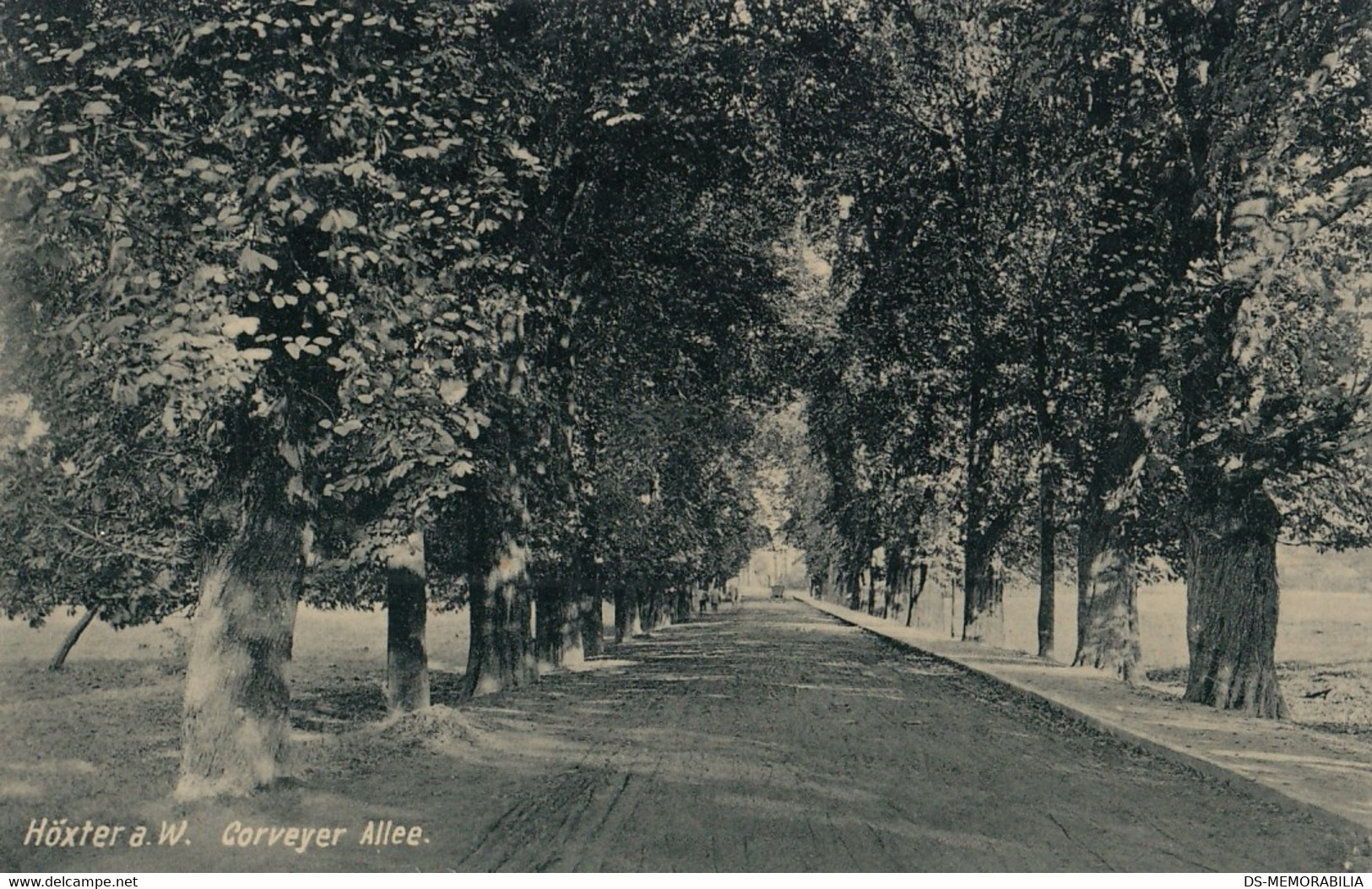 Hoexter - Corveyer Allee 1908 - Hoexter