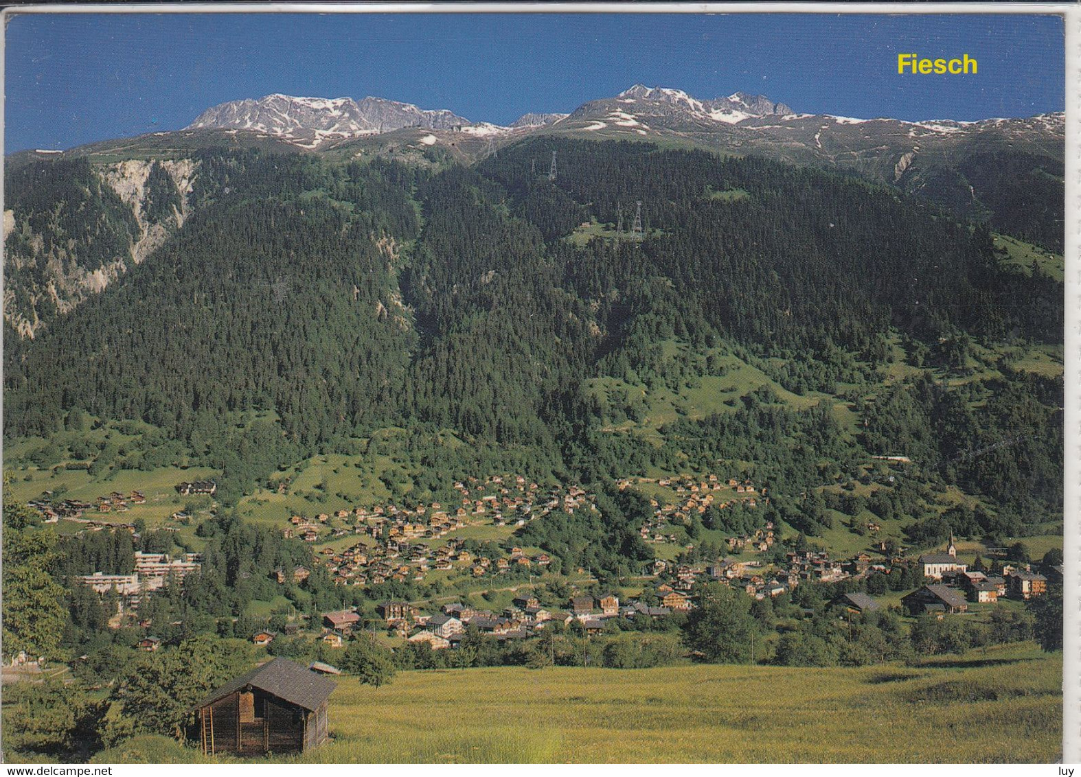 FIESCH , Wallis,  Bez. Goms - Panorama M. Bettmerhorn, Eggishorn - Goms